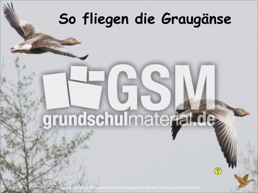 Der-Flug-Graugans-Fotopräsentation-2.pdf
